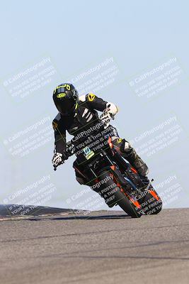 media/Oct-06-2025-2WTD (Mon) [[90522c3a0b]]/B Group/1120am (Grapevine)/